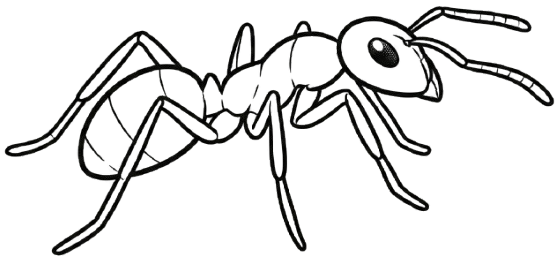 Fourmis